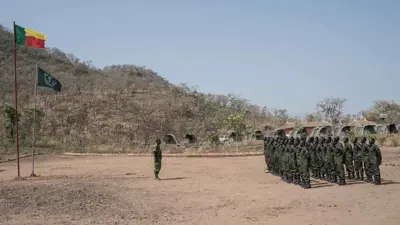 عناصر حكومية في بنين