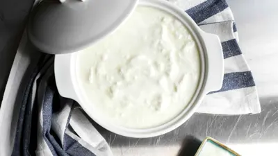 اللبن الزبادي