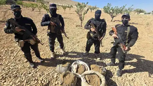 الأمن السوري يضبط 60 كيلوغراما من الحشيش