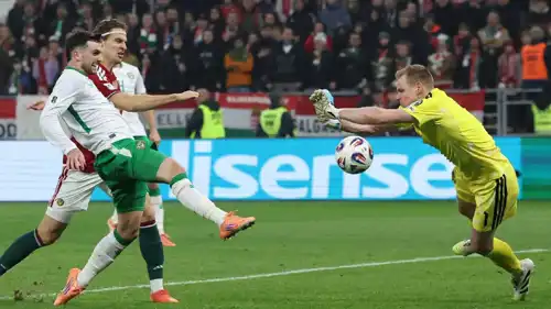 مباراة أيرلندا والمجر في تصفيات كأس العالم