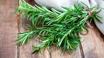 إكليل الجبل