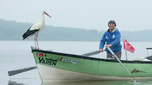 طائر اللقلق الشهير مع الطيار آدم يلماز