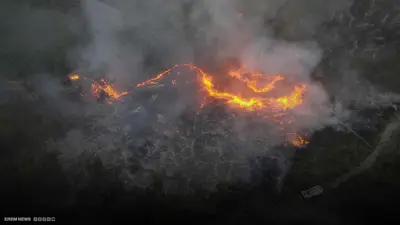 حرائق اللاذقية