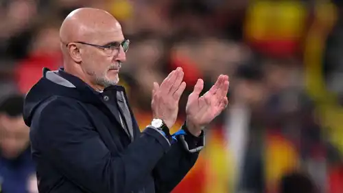 لويس دي لا فوينتي مدرب منتخب إسبانيا