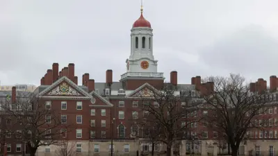 مبنى جامعة هارفارد