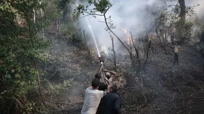 حرائق الساحل السوري 