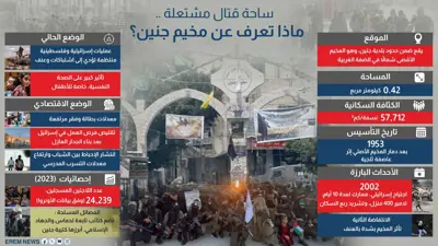 معلومات عن جنين (إنفوغراف)