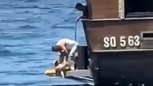 صياد يقوم بذبح سلحفاة نادرة في تونس