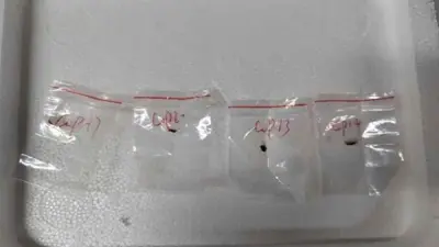 الفطريات السامة