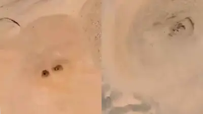 الثقوب الأرضية التي تندفع منها التيارات الهوائية