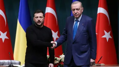 الرئيسان التركي والأوكراني في لقاء سابق