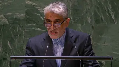 أمير سعيد إيرواني