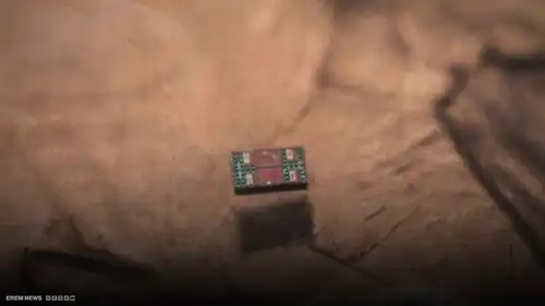 روبوت بحجم حبة الملح… يفكر ويتحرك ويخبرك بما يراه