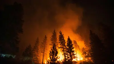 حرائق الغابات في لوس أنجلوس