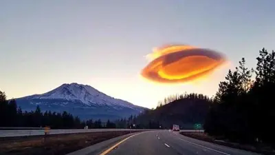 طبق طائر (تعبيرية)