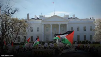 مظاهرة تحمل أعلاما فلسطينية أمام البيت الأبيض