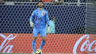 محمد الشناوي