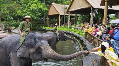 حديقة الحيوان في سنغافورة 