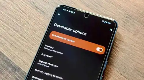 خيارات المطور