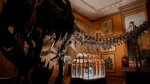 حقيبة مصنوعة من جلد الديناصورات