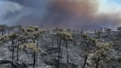 صورة جوية تُظهر تصاعد دخان من حريق غابات في محافظة اللاذقية