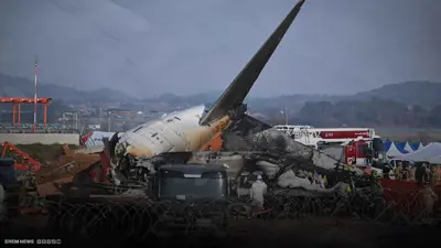 الطائرة الكورية الجنوبية المنكوبة.. تفاصيل الدقائق الأخيرة للكارثة