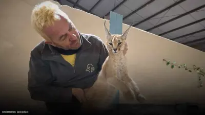 وشق مصري يثير الذعر في إسرائيل.. وسقوط جرحى في الهجوم