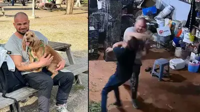 لحظة اعتداء الملاكم كيفانش سينسوز على يونس يلدرجي