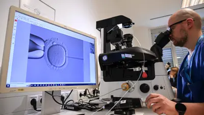 طبيب يجري عملية تلقيح صناعي