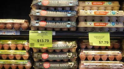 ارتفاع أسعار البيض