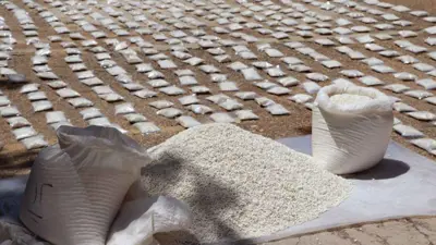  مخدرات مضبوطة في درعا