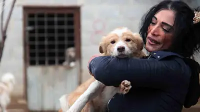 سارة أورفلي ترعى الكلاب المشردة