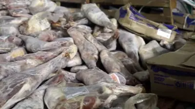 جانب من اللحوم المضبوطة