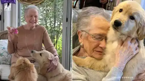 "نجمة الـ 95 عاماً".. كيف تحولت "جدة" إلى أيقونة على الإنترن