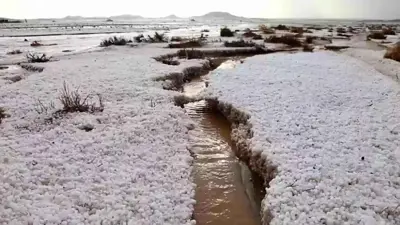 البرد في حائل