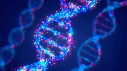 الحمض النووي