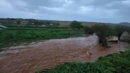 السيول تجرف الأشجار في عفرين 