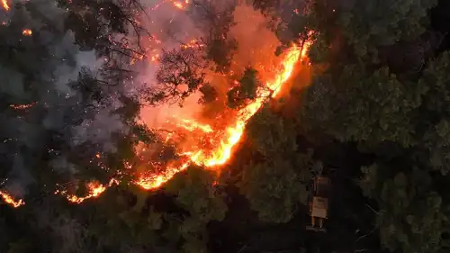 حرائق الغابات في اللاذقية