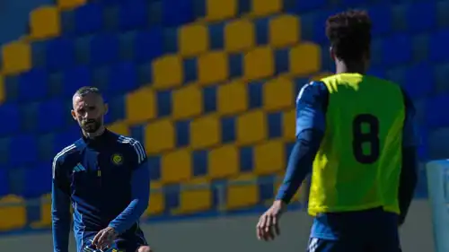 مارسيلو بروزوفيتش لاعب النصر السعودي