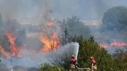 حرائق الغابات في تركيا