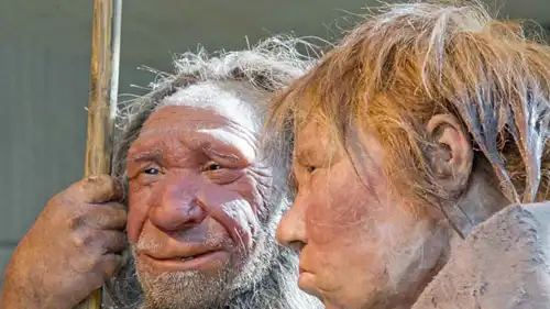  البشر الأوائل "الهوبيت" 