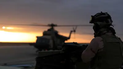 قاعدة عين الأسد 