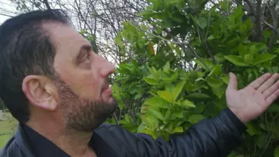 الشاعر السوري الراحل أحمد شحادة