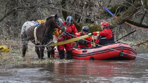 أثناء إنقاذ حصان عالق وسط مياه فيضانات إلينوي 