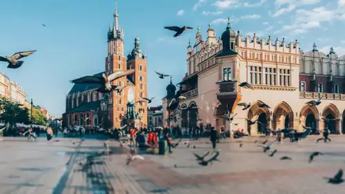 الحمام من قلب ساحة كراكوف 