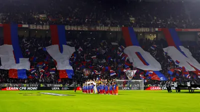 جماهير ليون الفرنسي