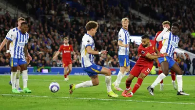 مباراة برايتون وليفربول