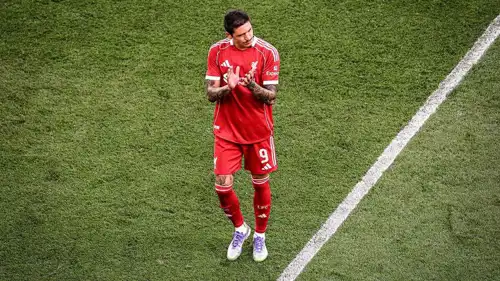 داروين نونيز