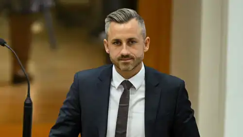 أولريش زيجموند، عضو حزب البديل من أجل ألمانيا