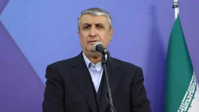 رئيس منظمة الطاقة الذرية الإيرانية محمد إسلامي